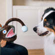 Load image into Gallery viewer, Dog playing with Play’s Ocean Buddies Angler Fish

