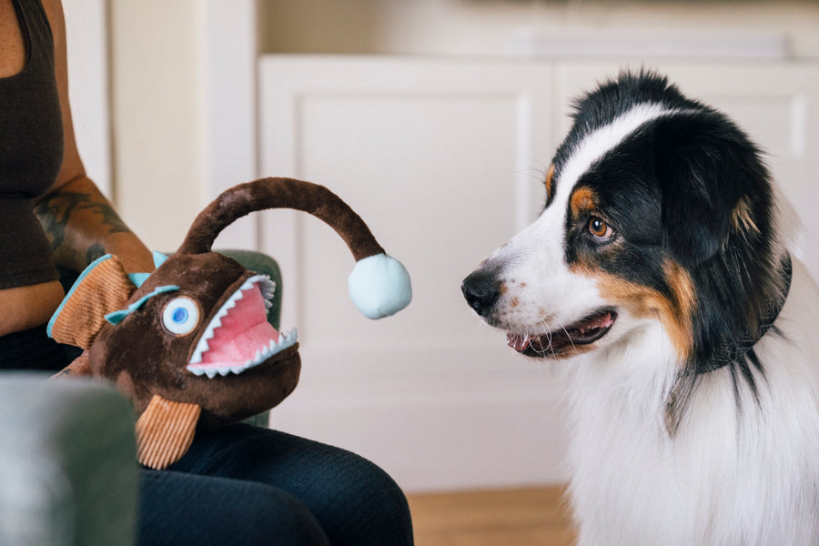 Angler Fish Plush Dog Toy, Deep Sea Fun - Play Pet Brands