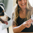 Load image into Gallery viewer, Dog mom inserting treats into the mouth of Play’s Ocean Buddies Great White Gabe toy with a dog looking on, both indoors.
