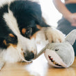Load image into Gallery viewer, Dog playing with Play’s Ocean Buddies Great White Gabe shark toy on a wooden floor trying to get treats out
