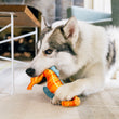 Load image into Gallery viewer, Big white fluffy dog playing with Play's Ocean Buddies Seahorse dog toy indoors on rug
