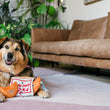 Load image into Gallery viewer, A dog wearing a bandana with a Fog City Pet x Play Lucky Treats dog toy in a living room setting.
