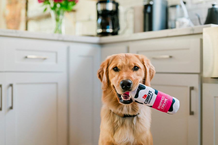 Whipped Cream Crinkler Dog Toy - Cabot Creamery x Play – Play Pet