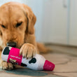 Load image into Gallery viewer, Dog playing with a Cabot Creamery x Play Whipped Cream Crinkler dog toy on a wooden floor
