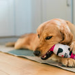 Load image into Gallery viewer, Dog playing with a Cabot Creamery x Play Whipped Cream Crinkler dog toy on a wooden floor bitting the top pink cap
