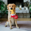 Load image into Gallery viewer, Dog holding a Fog City Pet x Play Pup of Soup dog toy in its mouth in a living room.
