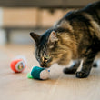Load image into Gallery viewer, Cat playing with Fog City Pet x Feline Frenzy Roll With It Wand toy on a wooden floor
