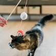 Load image into Gallery viewer, A cat playing with a sushi roll on a string,   called the Fog City Pet x Feline Frenzy Roll With It Wand, on a wooden floor.

