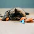 Load image into Gallery viewer, A cat playing with Fog City Pet x Feline Frenzy Fortune Whiskers toys on a wooden floor
