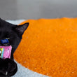 Load image into Gallery viewer, A black cat lying on a light gray surface next to a bright orange textured mat, holding a small pink cassette tape toy in its paws from the Jackson Galaxy x Feline Frenzy Playback Duo.

