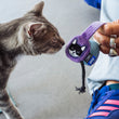 Load image into Gallery viewer, A gray tabby cat leans in toward the purple headphones toy from the Jackson Galaxy x Feline Frenzy Mic Drop Duo, while Jackson Galaxy holds it.
