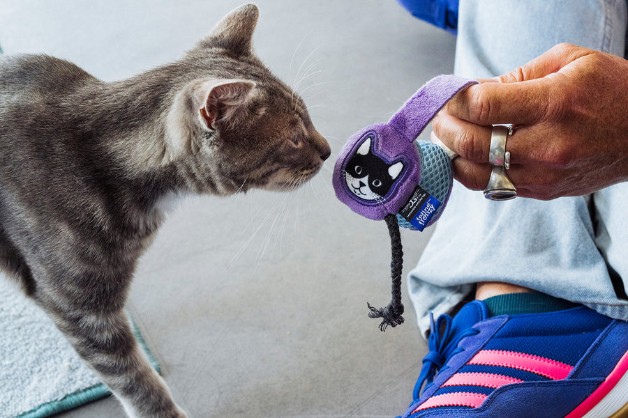 Mic & Headphone Cat Toy Duo - Jackson Galaxy x Feline Frenzy