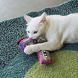 Load image into Gallery viewer, A white cat lies on a textured green and blue rug, biting and playing the boombox from the Jackson Galaxy x Feline Frenzy Playback Duo with a small cassette-tape-shaped toy in pink under it's paw.
