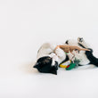 Load image into Gallery viewer, Black and white cat playing with P.L.A.Y. Feline Frenzy Purrfect Pairings Toy Set on its back on a white background
