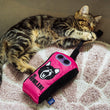 Load image into Gallery viewer, Cat laying on rug playing with rope on the Jackson Galaxy x Feline Frenzy The Stomp Box Kicker toy
