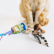 Load image into Gallery viewer, P.L.A.Y. Feline Frenzy Purrfectly Fungi toy set with all three toys sitting in front of ginger cat's paws on a white background
