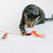 Load image into Gallery viewer, Cat playing with P.L.A.Y. Feline Frenzy Swatlami Wand Toy on a white background
