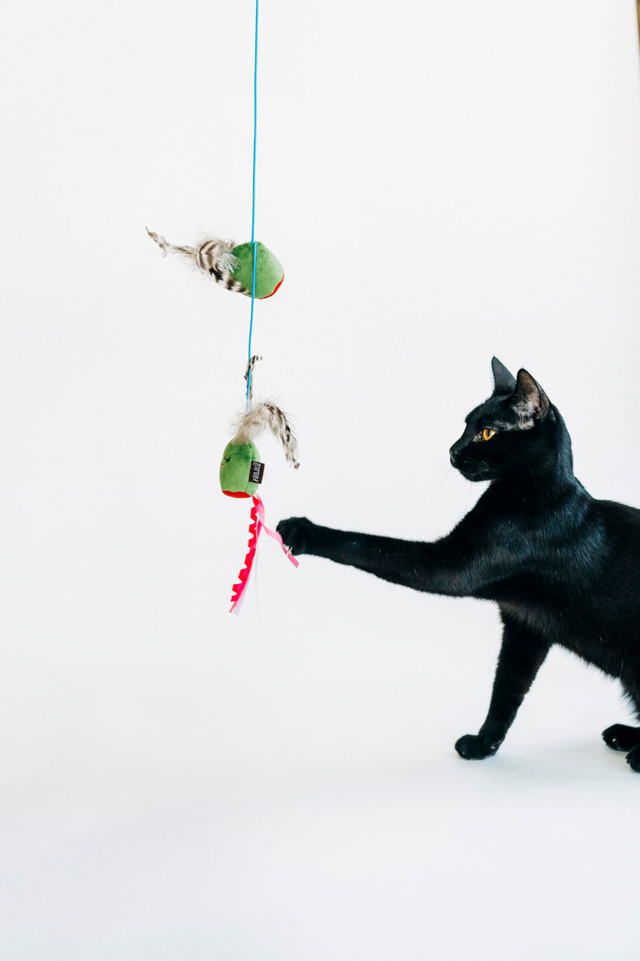 Purrfectly Pitted Olive Wand: Whimsical Interactive Cat Toy by