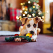 Load image into Gallery viewer, A small tan and white dog lies on a burgundy carpet in a cozy living room, holding a Christmas light toy on a green cotton string from the Play Merry Minis Collection. A blurred Christmas tree with warm lights and holiday decorations are in the background.
