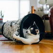Load image into Gallery viewer, A black-and-white cat lies inside a Feline Frenzy Purr &amp; Pounce Cat Tunnel toy in Black Celestial print on a wooden floor in a living room setting, pawing at the hanging mouse toy.
