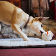 Load image into Gallery viewer, A tan and white dog on a Play Coastal Series Chill Pad playing with a Play Merry Minis Brrr-ian snowman head plush toy in a cozy indoor setting with a stone fireplace and red plaid blanket in the background.
