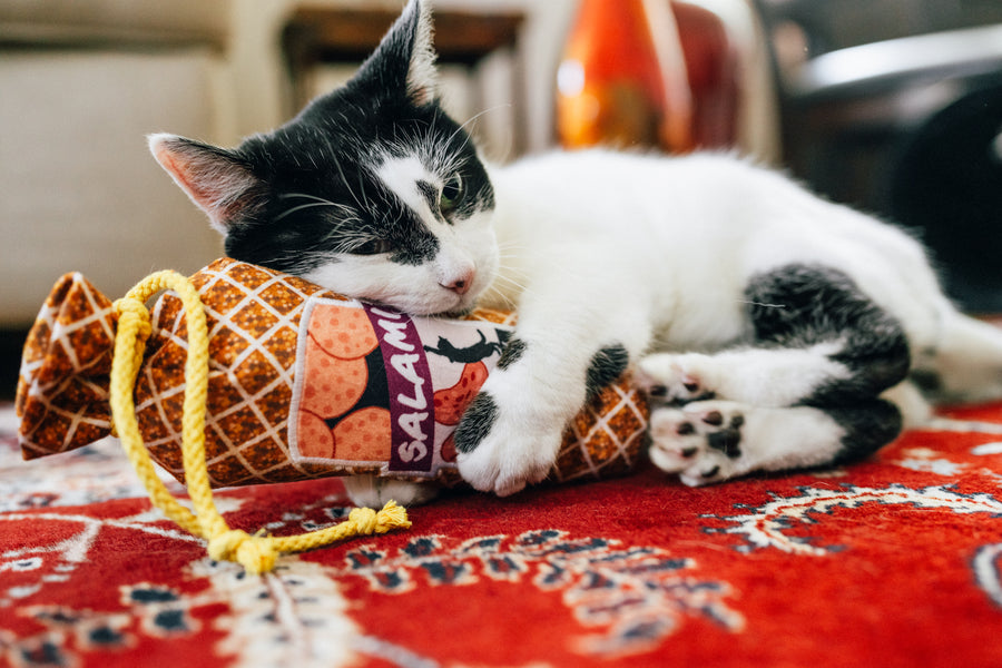 Salami Slammer Kicker Toy: Play Pet Brands' Irresistible Plush Design