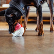 Load image into Gallery viewer, A black and tan dog wearing a black collar plays with the Play Sugar Rush Cupcake, a plush cupcake toy, on a polished wood floor in a living room setting.

