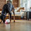 Load image into Gallery viewer, A black and tan dog sniffing the Play Sugar Rush Cupcake, a plush cupcake toy, on a polished wood floor in a modern living room with brick walls and a sofa in the background.
