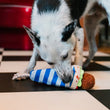 Load image into Gallery viewer, Dog playing with P.L.A.Y. falafel wrap striped toy on a checkered floor
