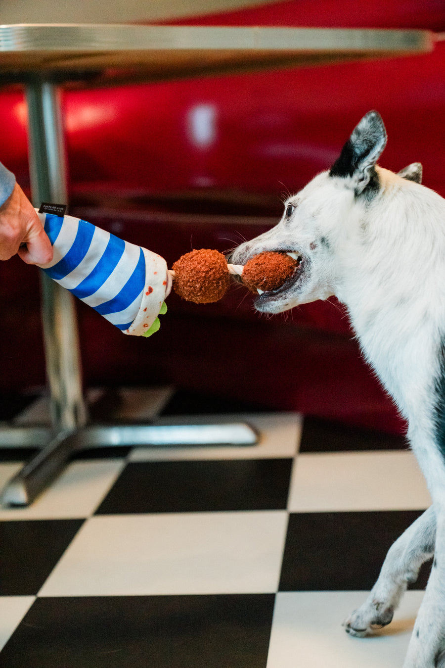 International Classic Fur-lafel Wrap: Interactive Dog Toy by Play