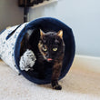 Load image into Gallery viewer, A little dark senior cat with yellow eyes and tongue out, walking out of the Feline Frenzy Purr &amp; Pounce Cat Tunnel toy in Navy Blue Celestial print on a beige carpeted floor in a home setting.
