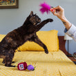 Load image into Gallery viewer, P.L.A.Y. Feline Frenzy Fig N’ Whiskers Toy Set  - A person dangling the fig slice toy with bright pink feathers bursting out of the top above a beautiful cat's head, while the cat tries to paw it, on a yellow bed.

