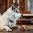 Load image into Gallery viewer, A fluffy white-and-gray dog lies on a woven rug in a living room, looking to the side with its tongue out, next to the Play Berry Blast Muffin, a plush, muffin-shaped dog toy.
