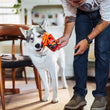 Load image into Gallery viewer, Man holding P.L.A.Y.'s International Classic Slurp It Up Toy for a dog in a home setting
