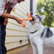 Load image into Gallery viewer, Man and dog playing with a P.L.A.Y. ZoomieRex SuperZag Toy outdoors
