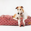 Load image into Gallery viewer, Dog lying on a P.L.A.Y. Moroccan Lounge Bed in Marsala with matching P.L.A.Y. Upcycled Zoo Pal Giraffe plush toy against a white background
