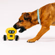 Load image into Gallery viewer, P.L.A.Y. Alien Buddies Robo-Rover Toy - beautiful brown dog going to bite or bark at toy approaching from the right side
