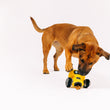 Load image into Gallery viewer, P.L.A.Y. Alien Buddies Robo-Rover Toy with beautiful brown dog pawing the toy with treats falling out of treat dispensing bonus toy inside
