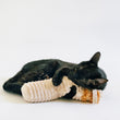 Load image into Gallery viewer, A black cat lying on a white studio background and cuddling a Feline Frenzy Halloween Meow-my Kicker Toy
