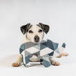 Load image into Gallery viewer, Dog with its head on top of the P.L.A.Y. Upcycled Zoo Pal Rhino plush toy on a white background
