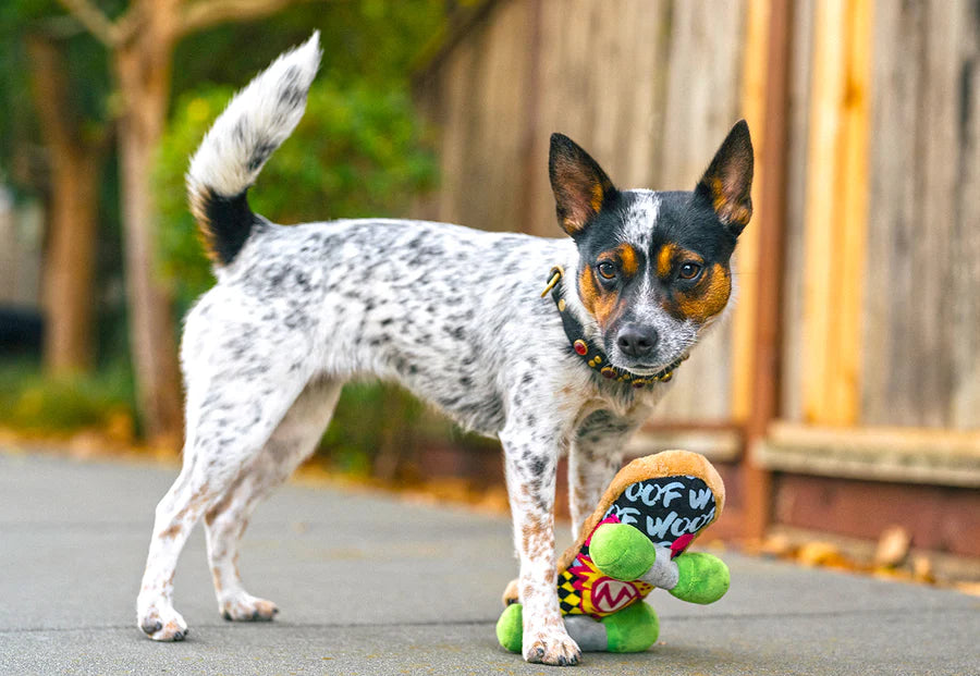 Kickflippin' K9: 90s Dog Toy by Play Pet Brands