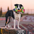 Load image into Gallery viewer, P.L.A.Y. 90s Classics Collection - Kick Flippin' K9 Toy in mouth of black and white dog on top of skatepark
