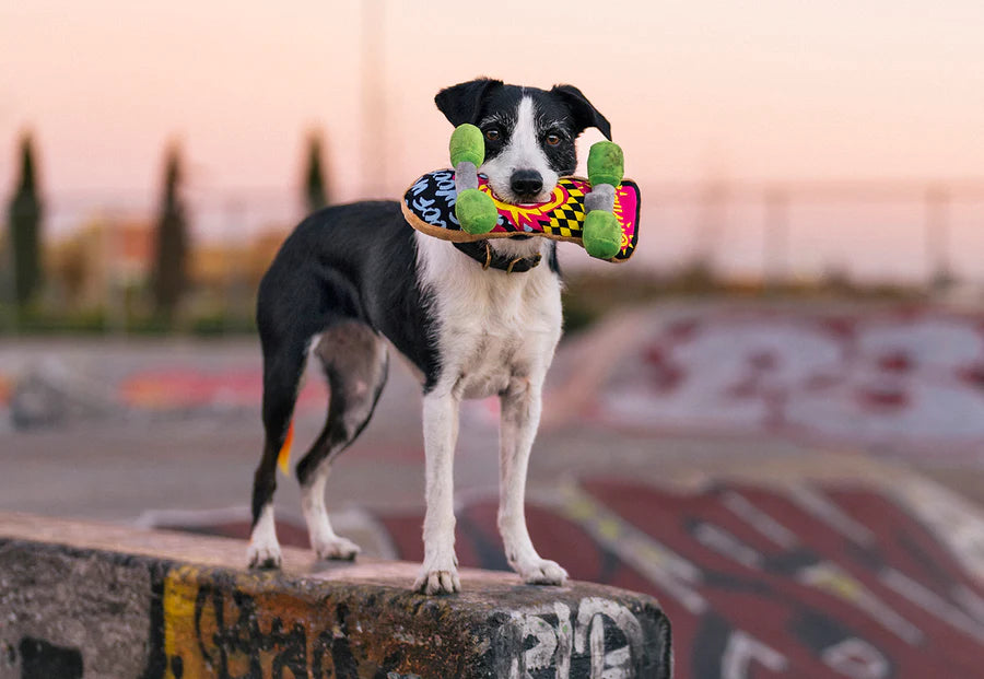 Kickflippin' K9: 90s Dog Toy by Play Pet Brands