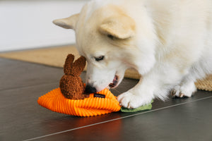 Funny Bunnies Dog Toy by Play Pet Brands