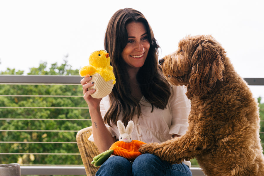 Hippity Hoppity Dog Toy: Chick Me Out by Play Pet Brands