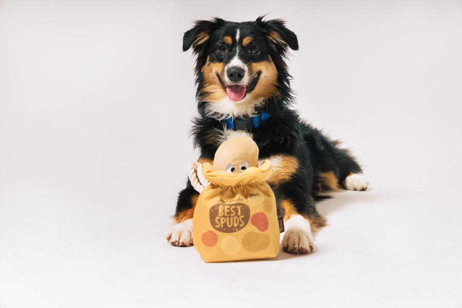 P.L.A.Y Pet Lifestyle Potato Pals Dog Toy, Medium