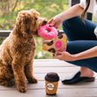 Load image into Gallery viewer, P.L.A.Y.'s Pup Cup Cafe Collection - Doughboy Donut Toy being offered to pup by dog mom on a balcony
