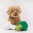 Load image into Gallery viewer, Small brown dog with P.L.A.Y.'s Picked Fresh Veggie Munch Duo Toy Set on a white background
