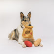 Load image into Gallery viewer, P.L.A.Y.'s Picked Fresh Potato Pals Toy: Dog sitting with a potato bag in its mouth and the two potatoes near its front paws on a white background
