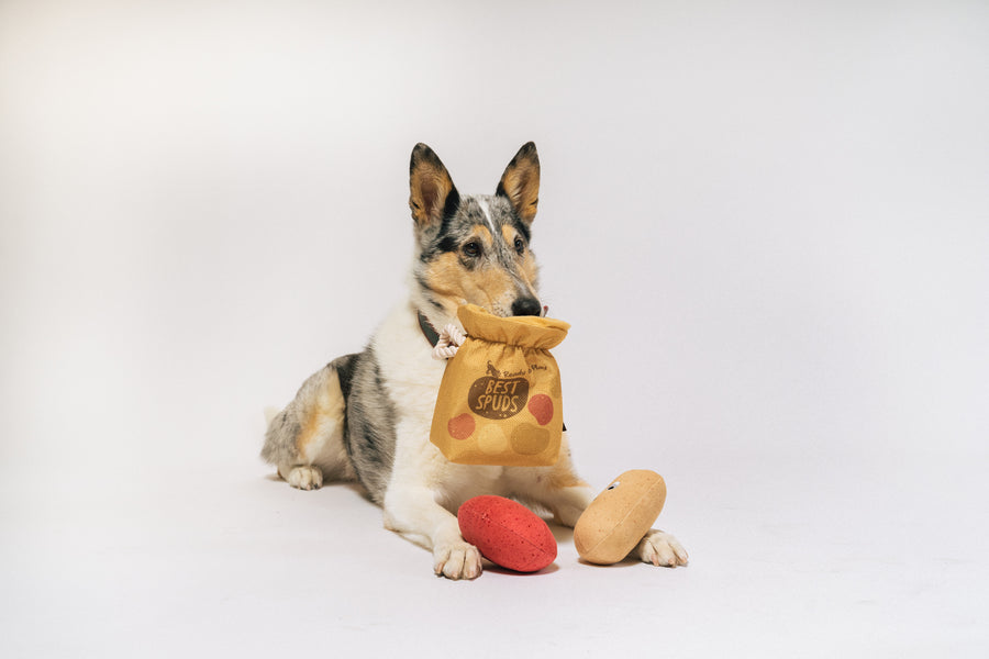 all for paws plush mush potato dog toy P.L.A.Y Pet Lifestyle Potato Pals Dog Toy, Medium